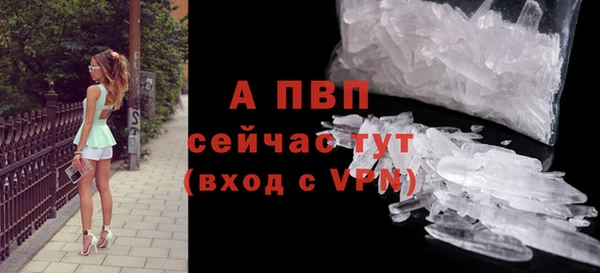 трава Бородино