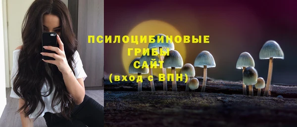 трава Бородино