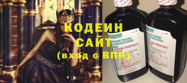 дживик Богородск